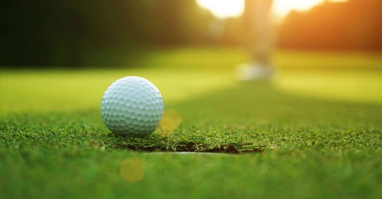 Golf cover